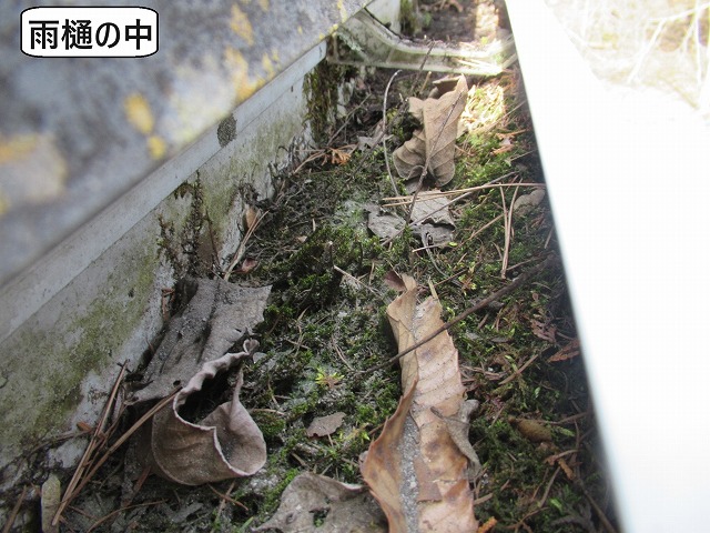 山中湖村　雨樋清掃